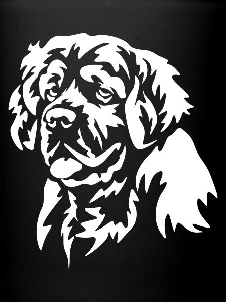 Clumber Spaniel Head « Édition Noire »