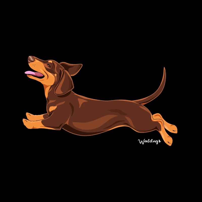 Dachshund Smooth 2