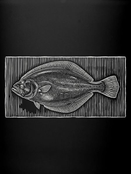 Vintage flatfisk tresnitt – Kystfisker