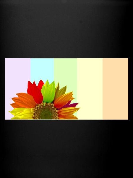 Bunte Regenbogen-Sonnenblume – Pastellstreifen-Aesthet