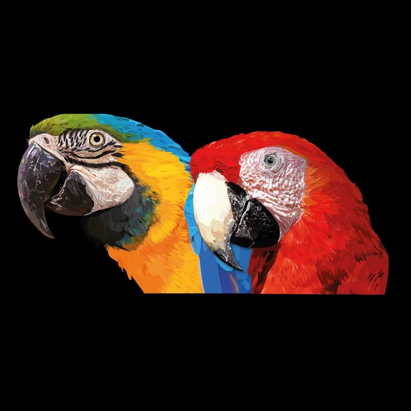 Macaws