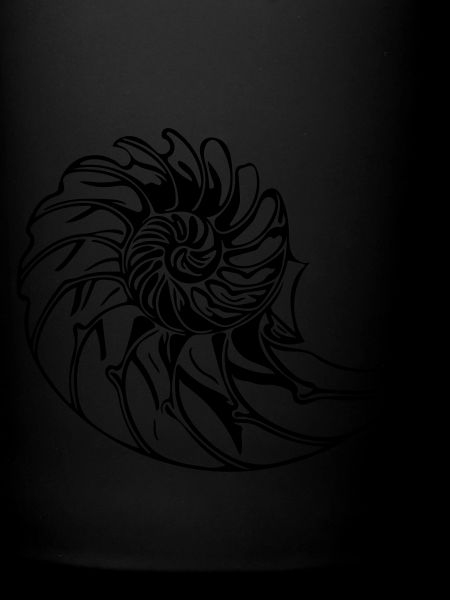 Elegant shell