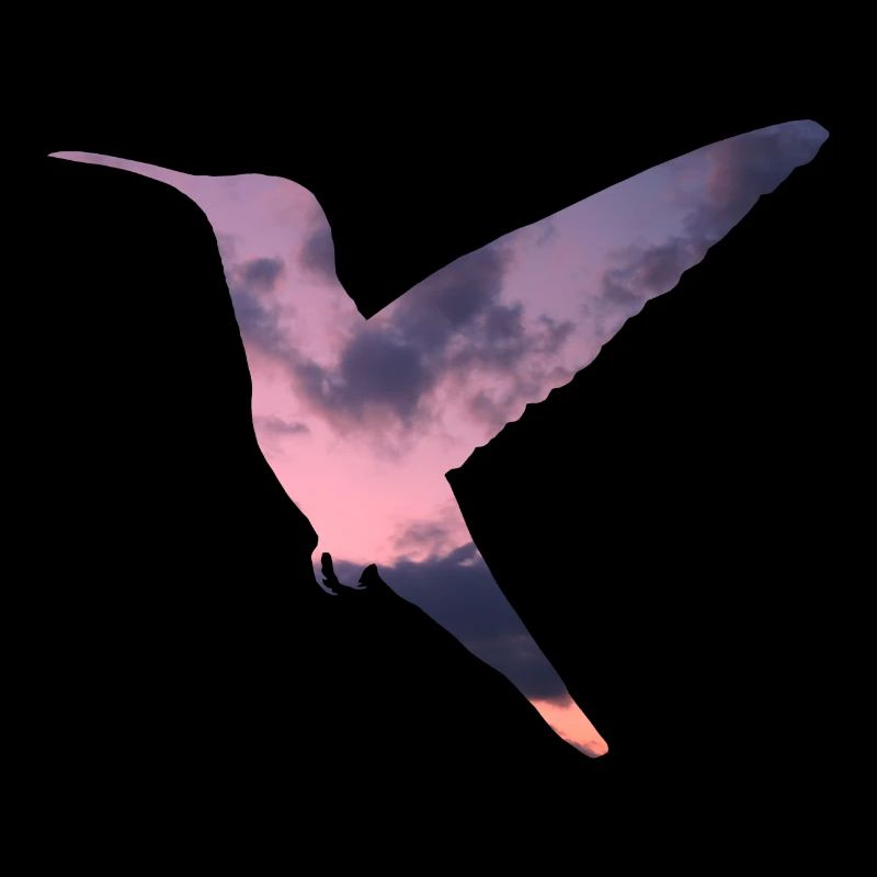 Colibri des nuages