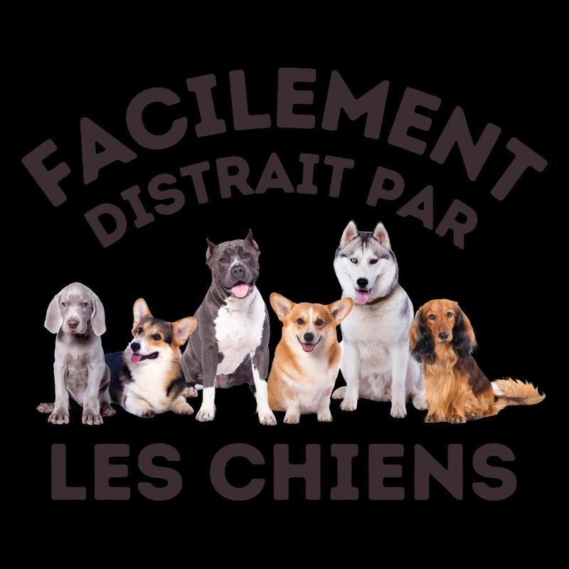 Amoureux de chiens 2