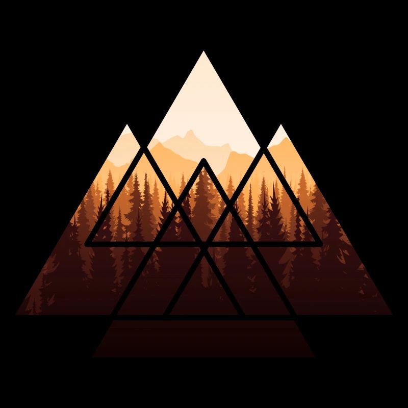 Forêt Nature Amoureux Triangle Protection du climat