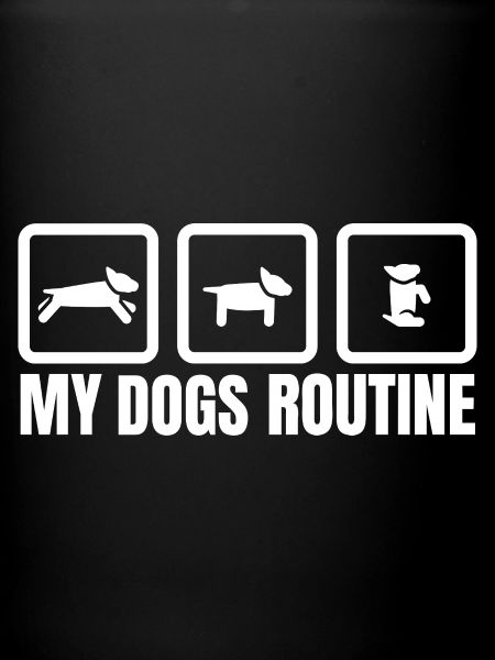 My Dogs Routine