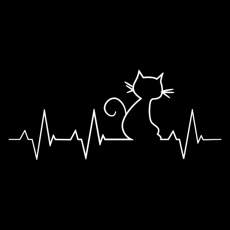 Cats heartbeat