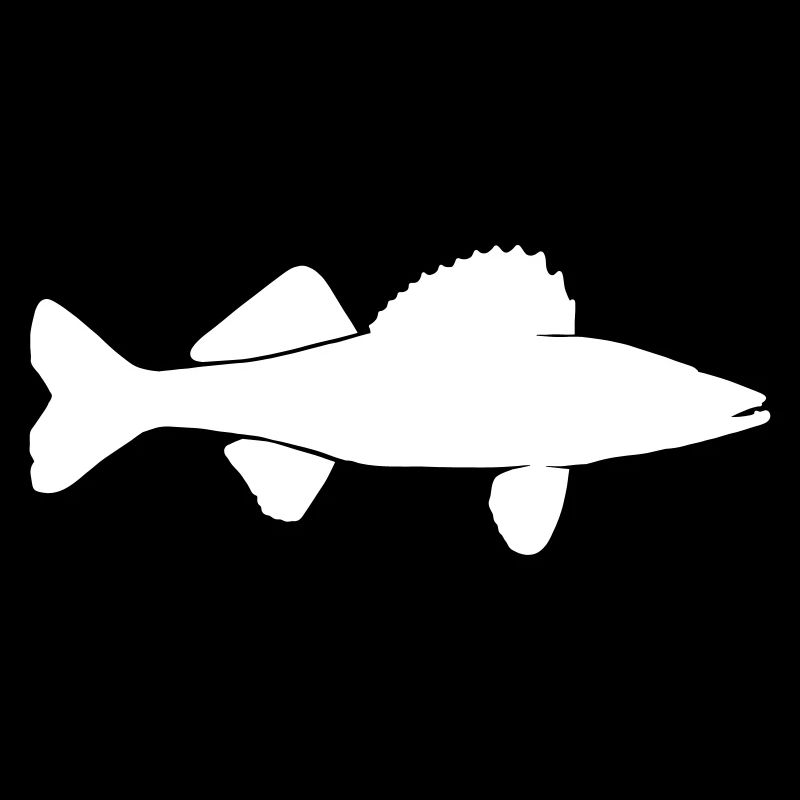 Pikeperch