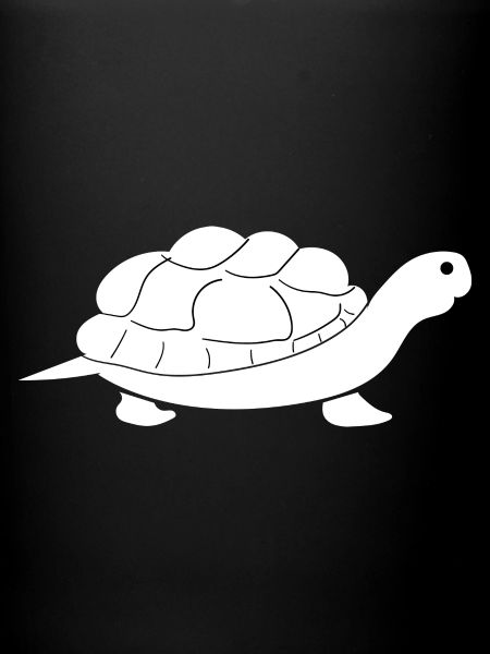 Turtle Turtle