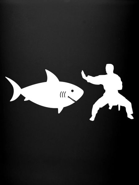 Karaté Requin