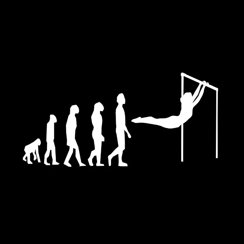 Stufenbarren Gymnastics Turnen Evolution