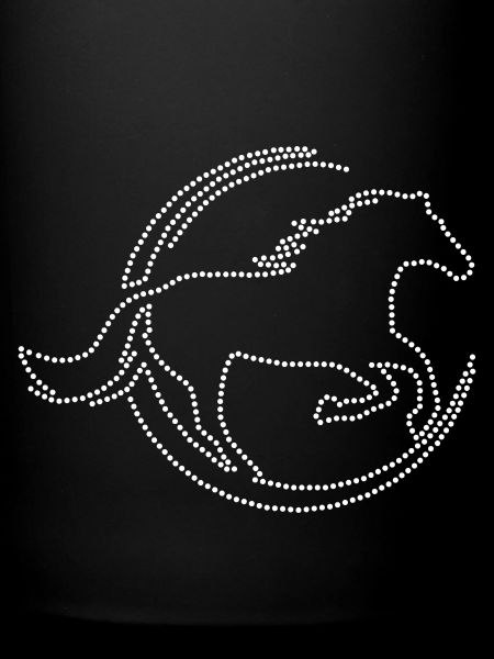 Strass de cheval