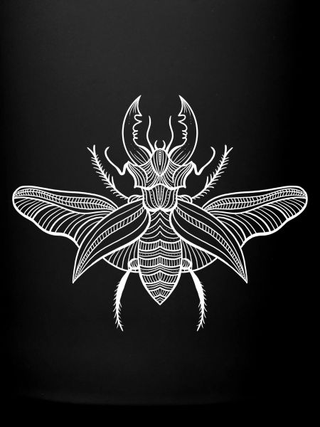 Beetle 2