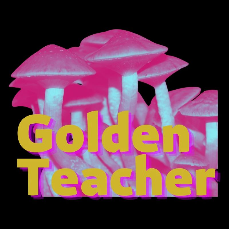 Golden Teacher