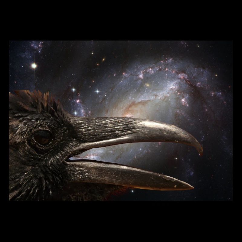 Corbeau de l’espace noir.
