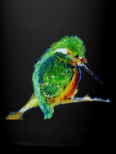 Martin-pêcheur d'Europe Alcedo atthis
