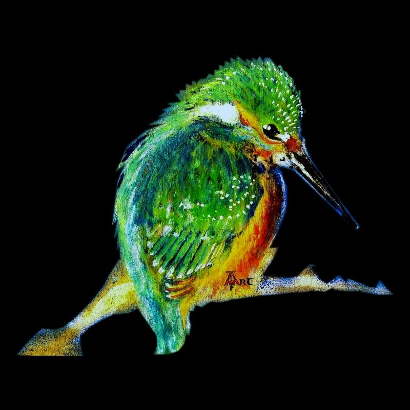 Martin-pêcheur d'Europe Alcedo atthis