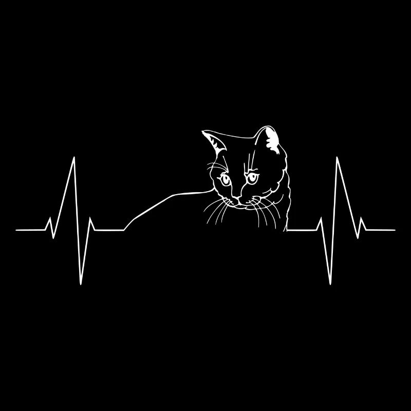 Battement de cœur du chat