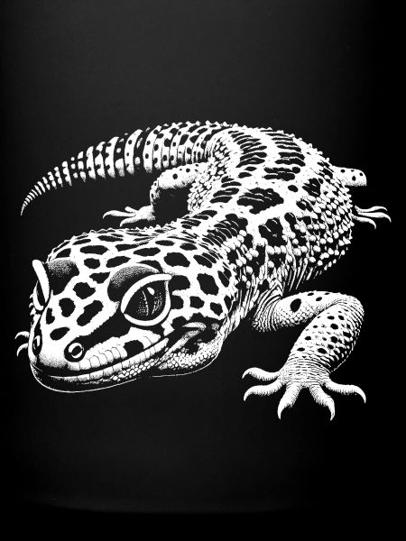Leopardgecko