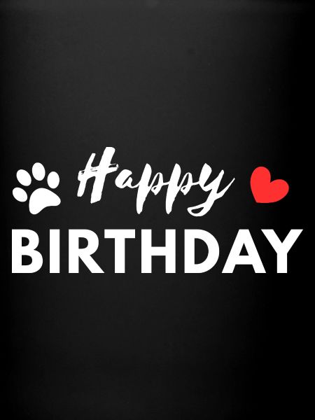 Joyeux anniversaire chien