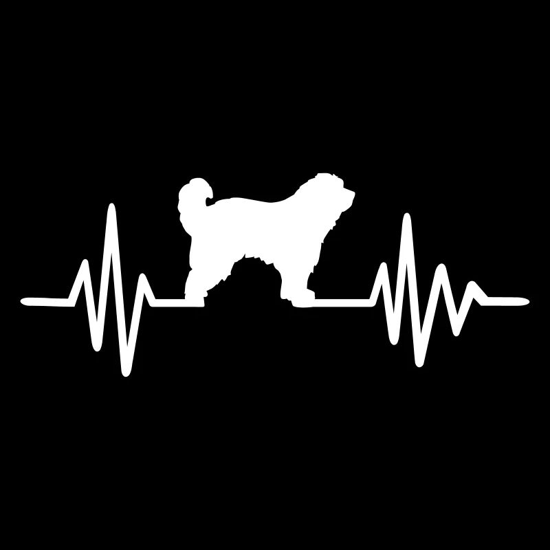 Berger des Pyrénées