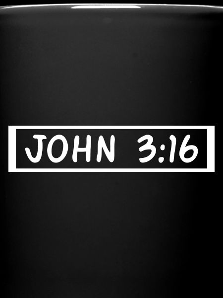 john 316