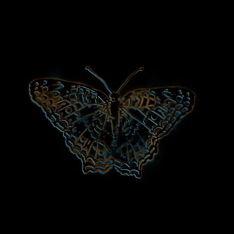 Schmetterling Graffiti