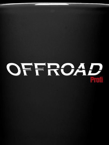 Offroad Professional (4x4)