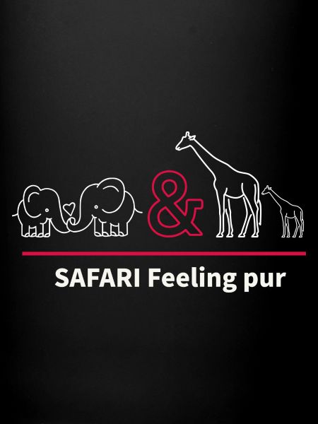 Safari
