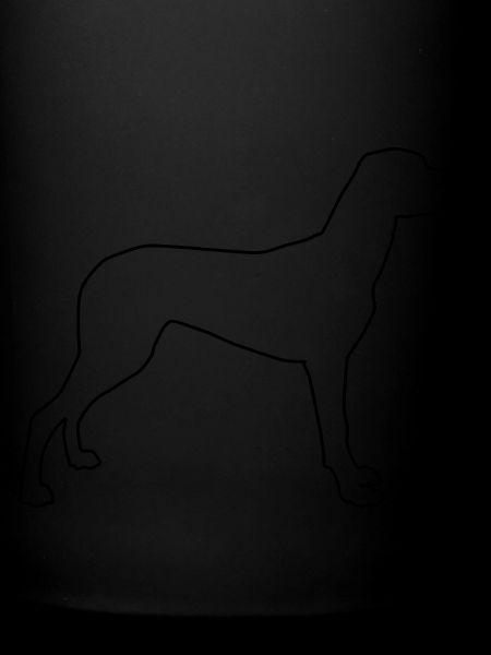 Vizla Contours 1
