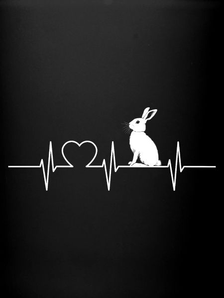 Lapin Lapin