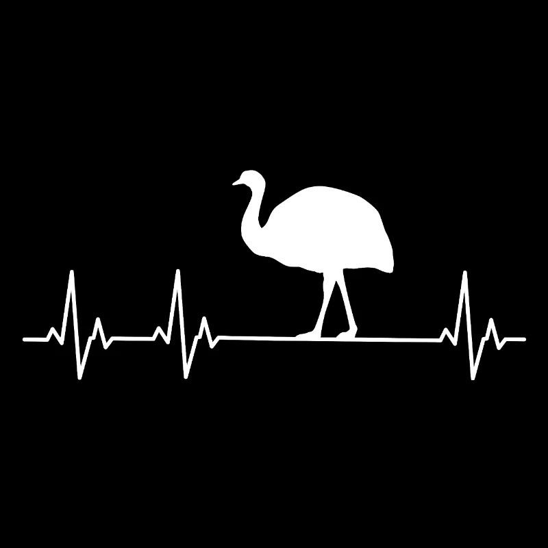 Autruche - Émeu - Nandu