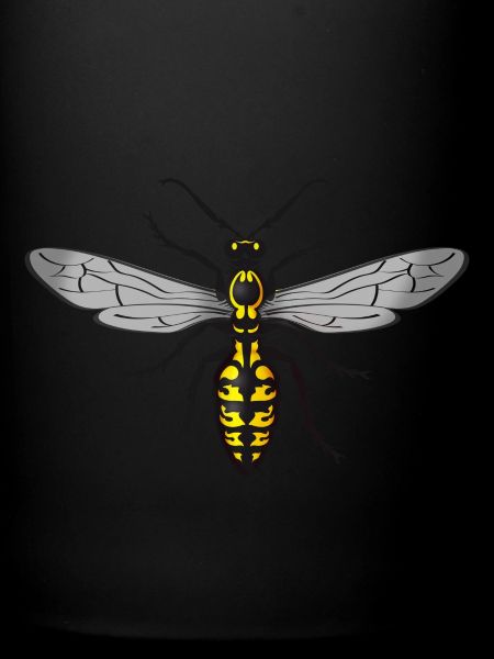 wasp