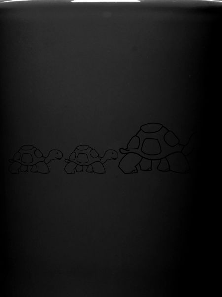turtle family