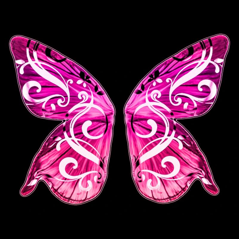 Ailes de papillon Ailes de papillon Fée Elfe