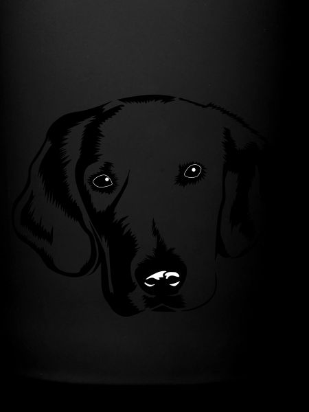 Chien