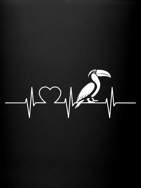 Toucans Toucan