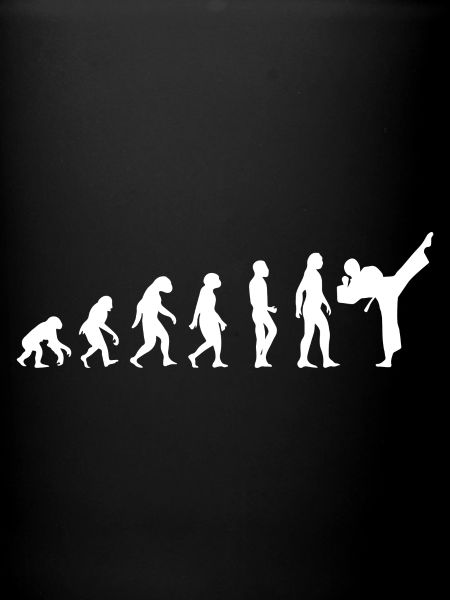 t-shirt evolution karate