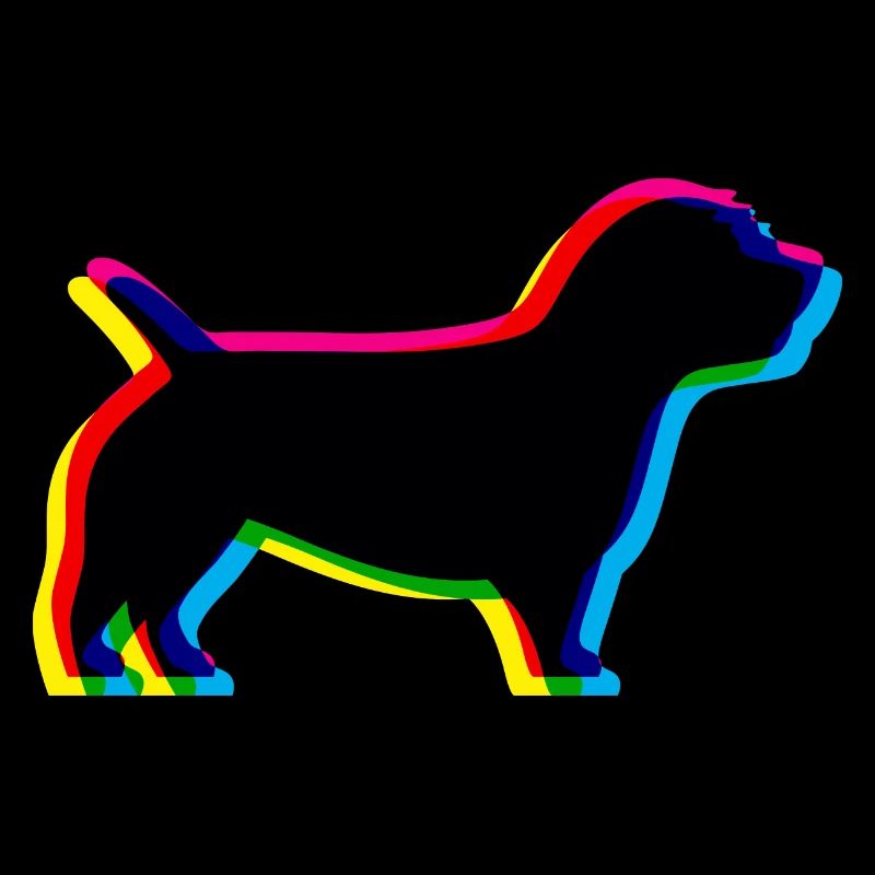 CMJN Irish Glen de l’Imaal Terrier