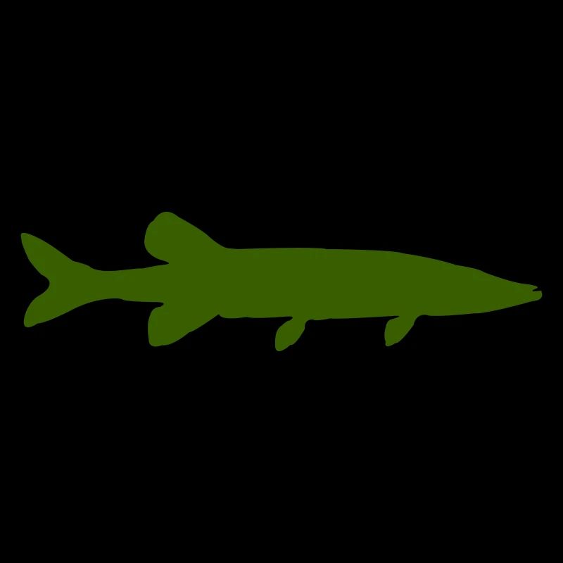Pike Fish