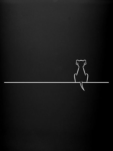 Dog on line