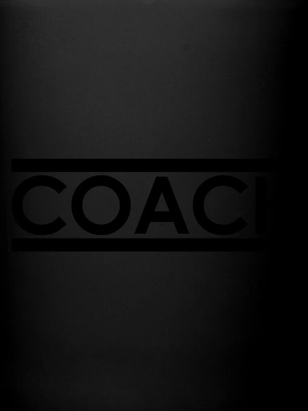 Coach / trainer