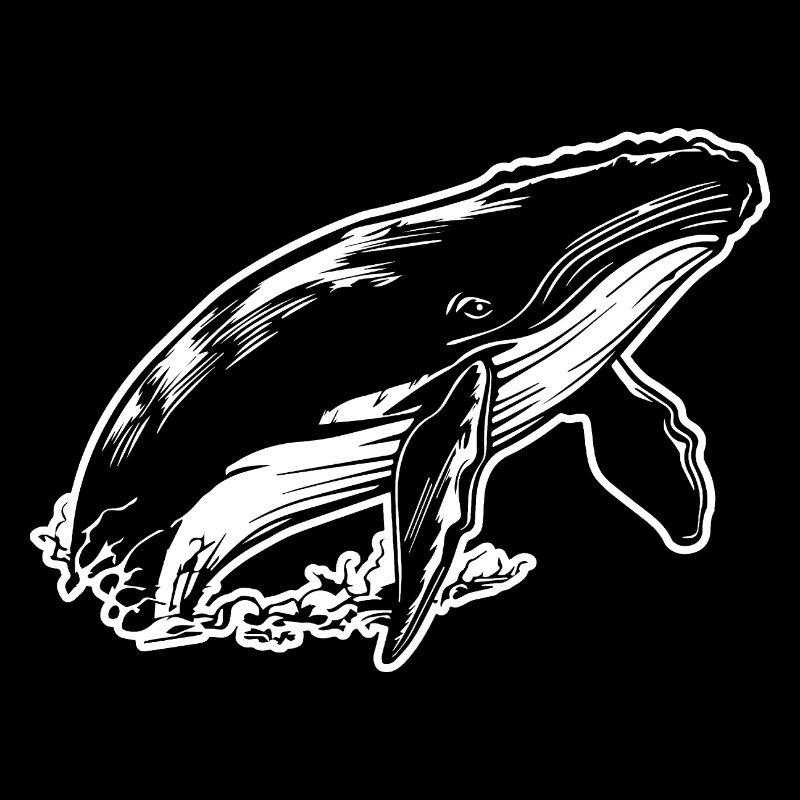 Whale Sea Fish