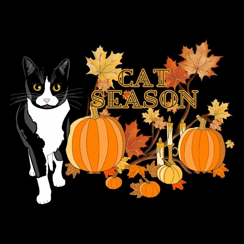 Saison des chats effrayants