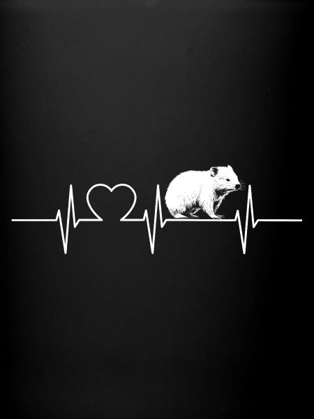Wombats Wombat