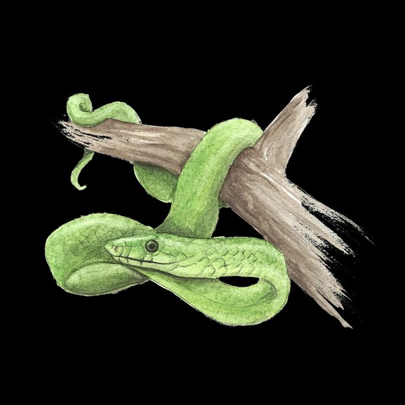 mamba