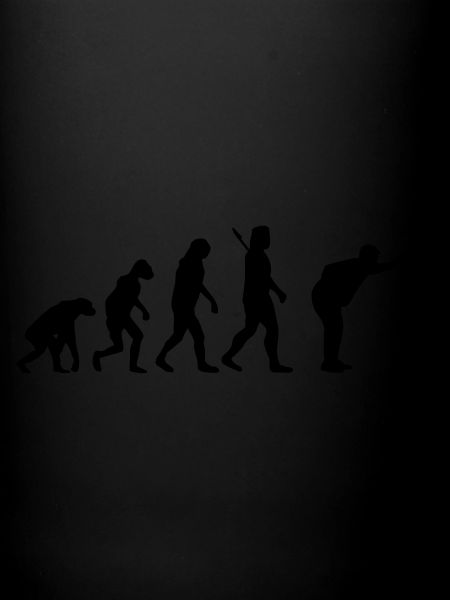 Evolution Boule