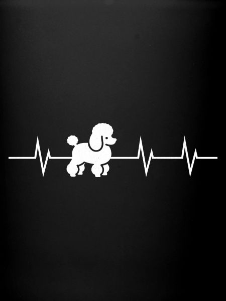 Heartbeat of a Poodle