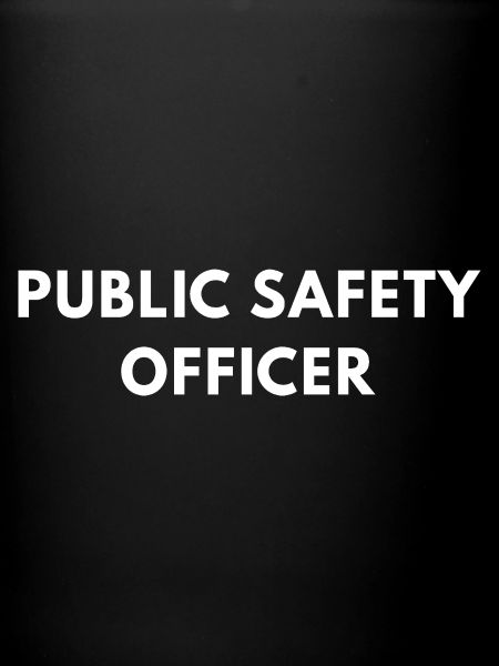 Agent de sécurité publique