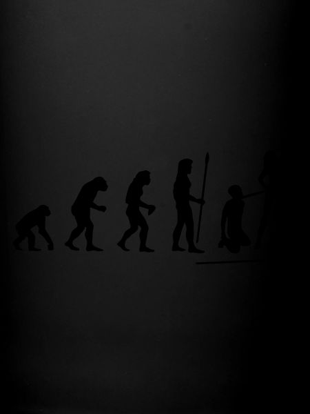 evolution_wedding1